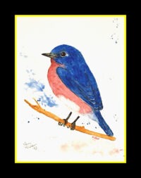 Bluebird